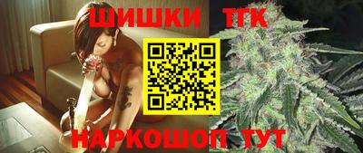 индика Тверь